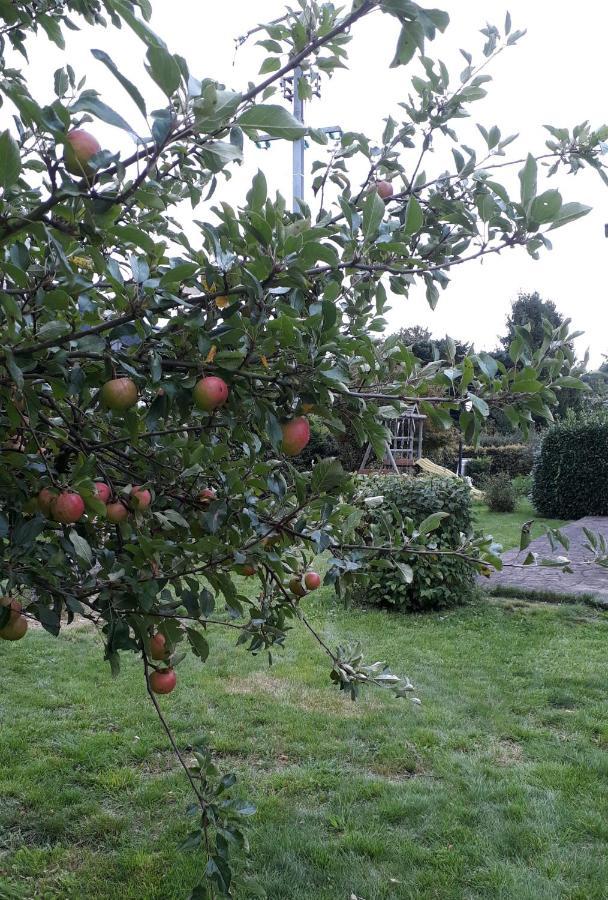 Villa Franzen Derenbach Zewnętrze zdjęcie